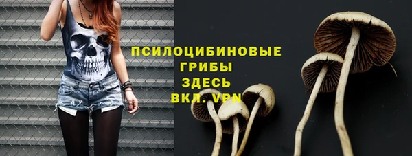 мяу мяу мука Армянск
