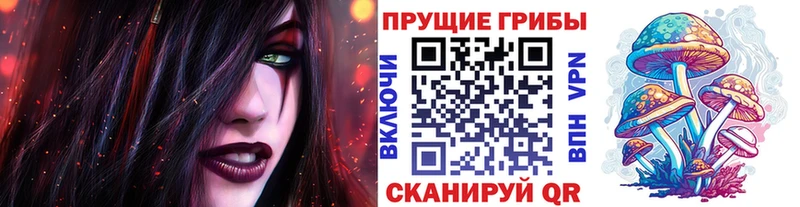купить   блэк спрут ссылка  Галлюциногенные грибы мицелий  Кремёнки 